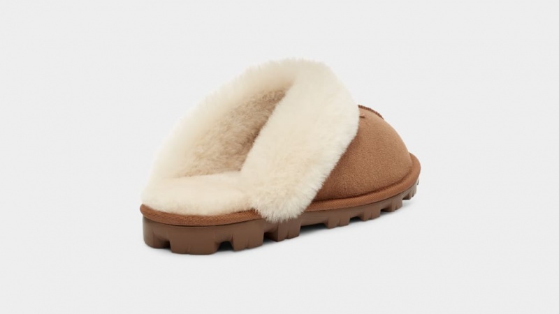 Kapcie Damskie Ugg Coquette Brązowe | FME-893721