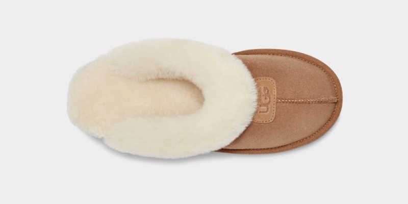 Kapcie Damskie Ugg Coquette Brązowe | FME-893721