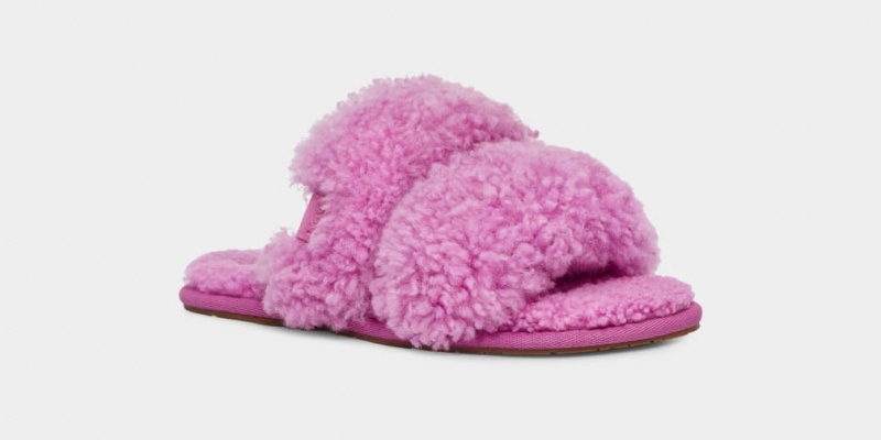 Kapcie Damskie Ugg Maxi Curly Scuffetta Fioletowe | JNI-570461