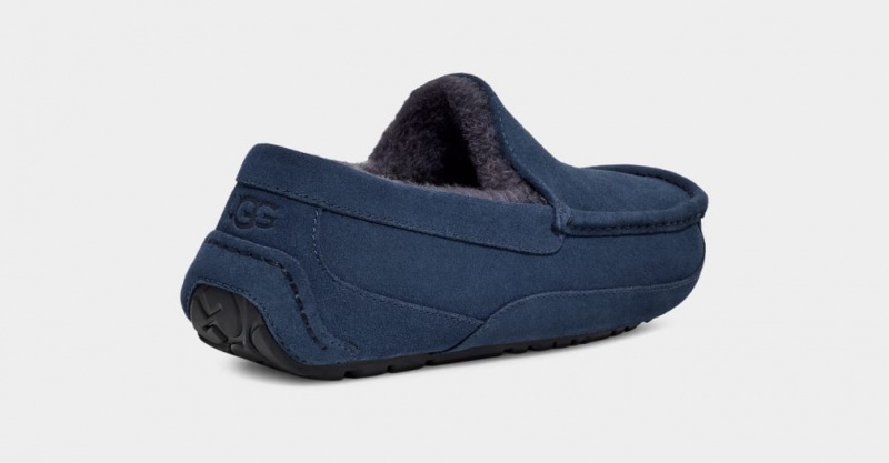Kapcie Męskie Ugg Ascot Niebieskie | BRP-268570