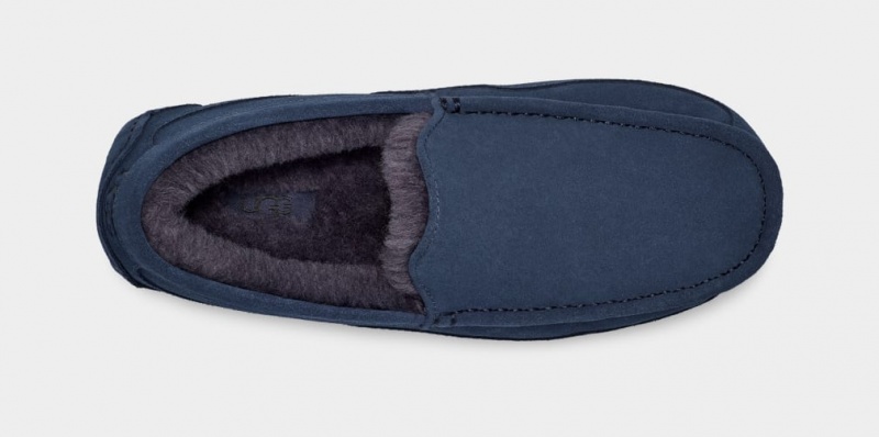 Kapcie Męskie Ugg Ascot Niebieskie | BRP-268570