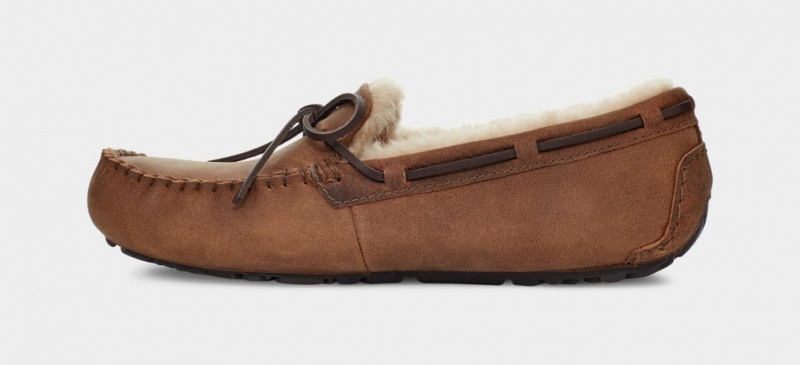 Kapcie Męskie Ugg Olsen Brązowe | UVB-137465