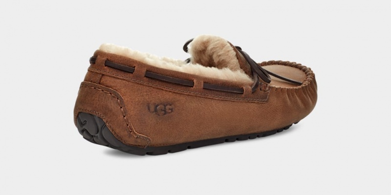 Kapcie Męskie Ugg Olsen Brązowe | UVB-137465