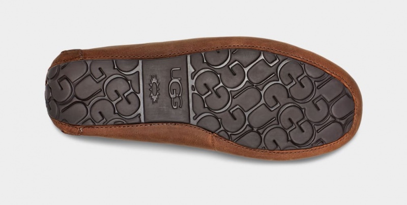 Kapcie Męskie Ugg Olsen Brązowe | UVB-137465