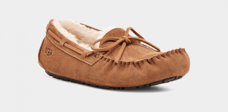 Kapcie Męskie Ugg Olsen Brązowe | YEN-013482