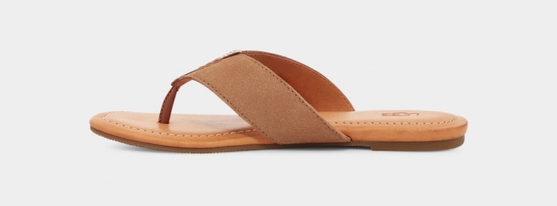 Klapki Damskie Ugg Carey Flip Zamszowe Brązowe | WFB-214573
