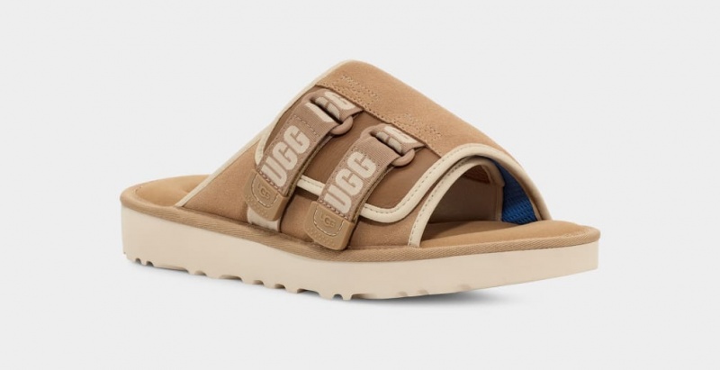 Klapki Męskie Ugg Goldencoast Paskiem Brązowe | KOM-271468