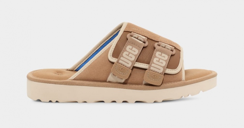 Klapki Męskie Ugg Goldencoast Paskiem Brązowe | KOM-271468