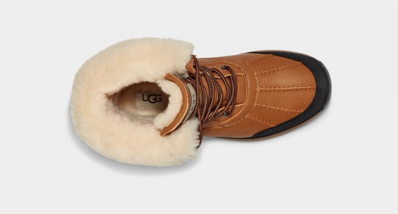 Kozaki Damskie Ugg Adirondack III Brązowe | YSX-128673