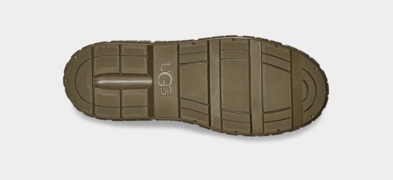 Kozaki Damskie Ugg Drizlita Oliwkowe | FRQ-402139