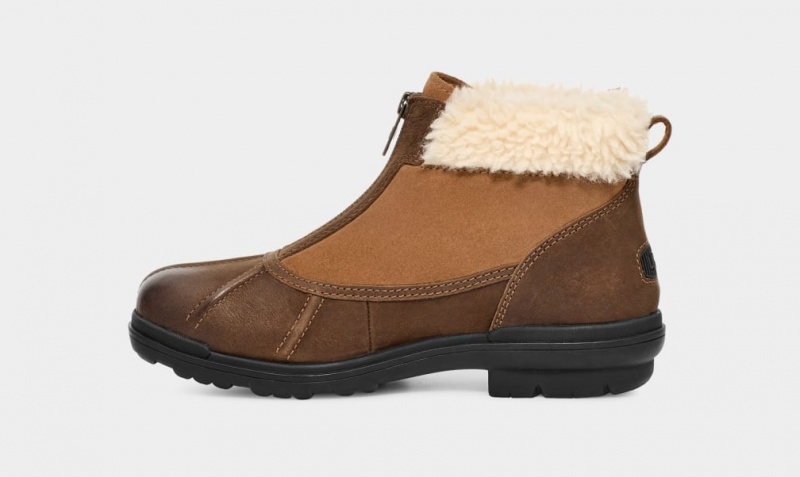 Kozaki Damskie Ugg Hapsburg Zip Brązowe | ZBG-487635