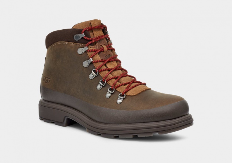 Kozaki Męskie Ugg Biltmore Hiker Brązowe | TSA-647295