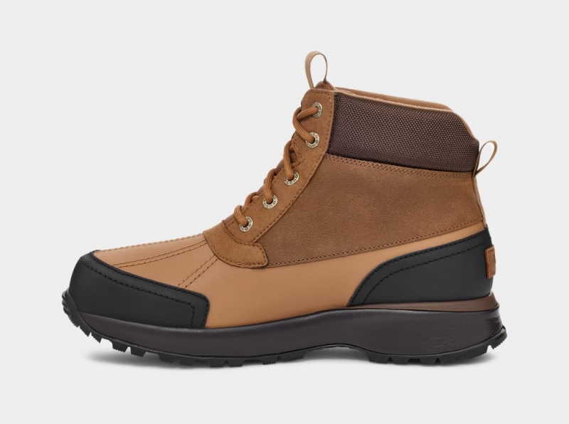 Kozaki Męskie Ugg Emmett Duck Brązowe | DVQ-391067