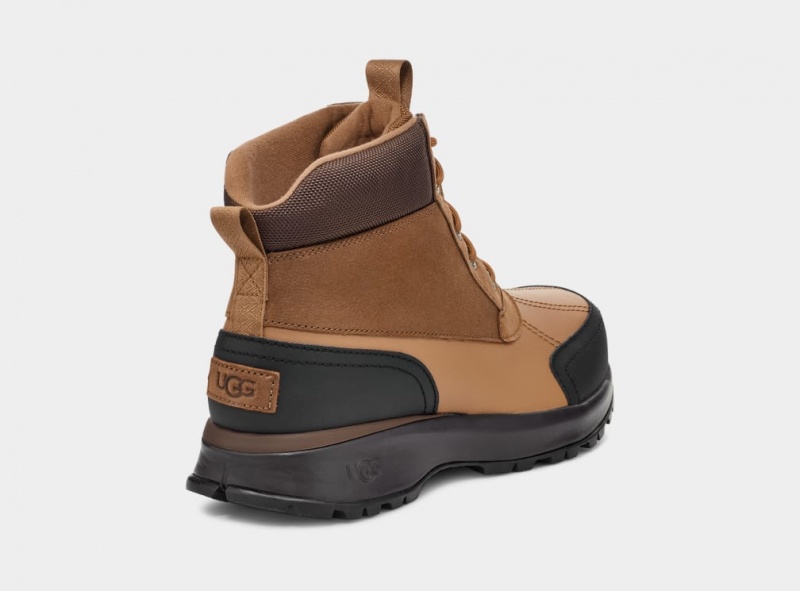 Kozaki Męskie Ugg Emmett Duck Brązowe | DVQ-391067