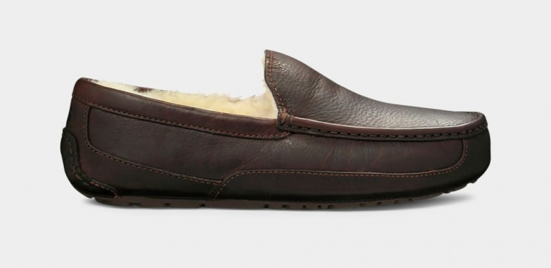 Mokasyny Męskie Ugg Ascot Skórzane Ciemny Brązowe | UVO-042635