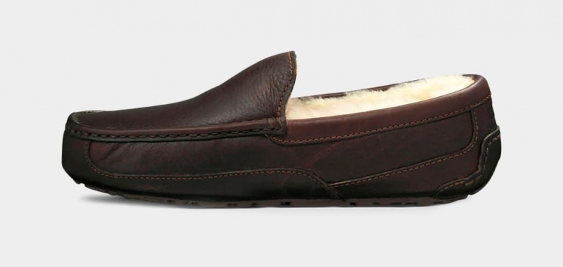 Mokasyny Męskie Ugg Ascot Skórzane Ciemny Brązowe | UVO-042635