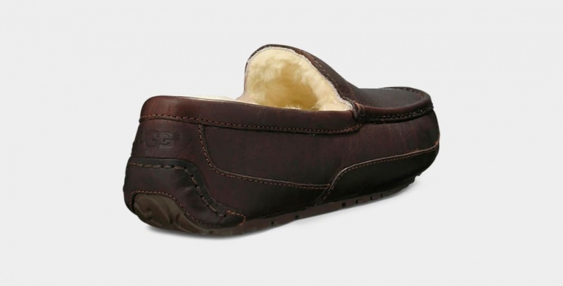 Mokasyny Męskie Ugg Ascot Skórzane Ciemny Brązowe | UVO-042635
