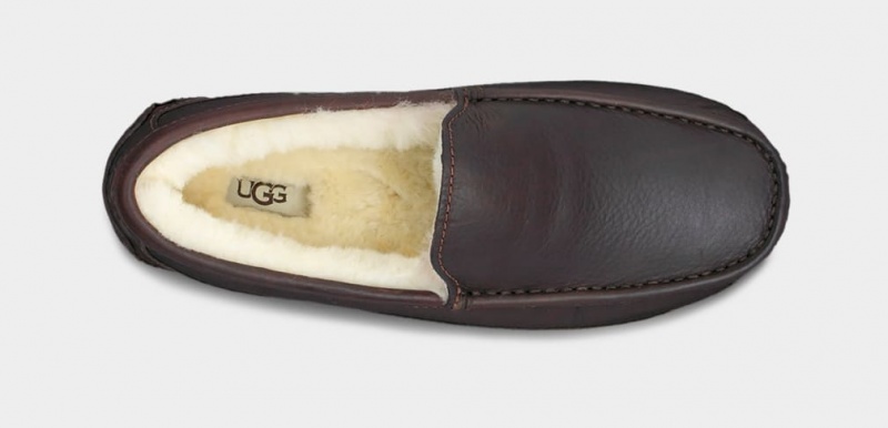 Mokasyny Męskie Ugg Ascot Skórzane Ciemny Brązowe | UVO-042635