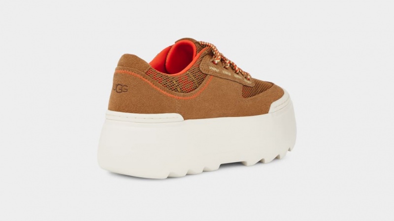 Trampki Damskie Ugg Marin Mega Koronkowe Heritage Braid Brązowe | RQW-432561