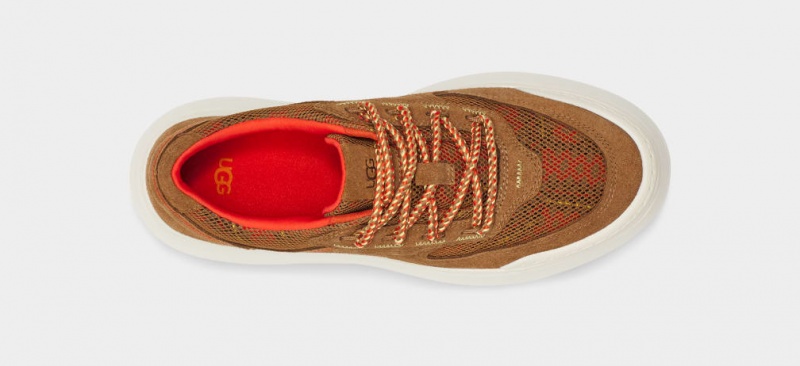 Trampki Damskie Ugg Marin Mega Koronkowe Heritage Braid Brązowe | RQW-432561